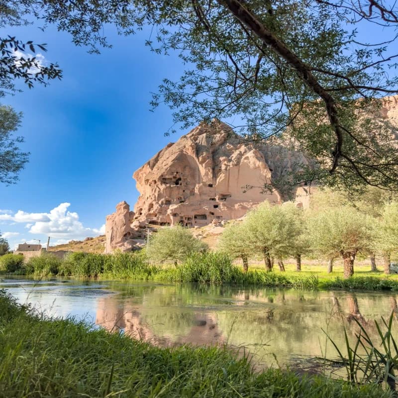Buddha Cliffside Cabin image